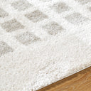 Fossay Shag FSG-2322 Light Beige / Medium Gray Rug