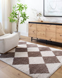 Fossay Shag FSG-2323 Dark Brown / Light Beige Rug
