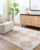 Fossay Shag FSG-2324 Beige / Light Beige Rug