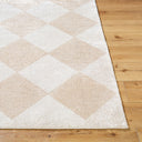 Fossay Shag FSG-2324 Beige / Light Beige Rug