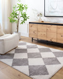 Fossay Shag FSG-2326 Charcoal / Light Beige Rug