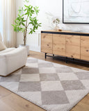 Fossay Shag FSG-2327 Light Beige / Medium Gray Rug