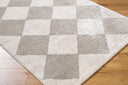 Fossay Shag FSG-2327 Light Beige / Medium Gray Rug