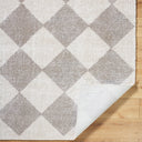 Fossay Shag FSG-2327 Light Beige / Medium Gray Rug