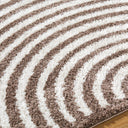 Fossay Shag FSG-2331 Dark Brown / Light Beige Rug