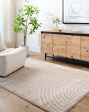 Fossay Shag FSG-2332 Beige / Light Beige Rug