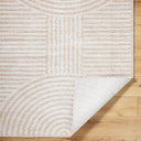 Fossay Shag FSG-2332 Beige / Light Beige Rug