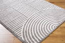 Fossay Shag FSG-2334 Charcoal / Light Beige Rug