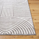 Fossay Shag FSG-2334 Charcoal / Light Beige Rug