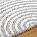 Fossay Shag FSG-2334 Charcoal / Light Beige Rug