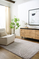 Fossay Shag FSG-2335 Light Beige / Medium Gray Rug