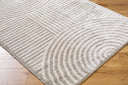 Fossay Shag FSG-2335 Light Beige / Medium Gray Rug