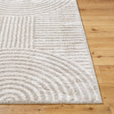 Fossay Shag FSG-2335 Light Beige / Medium Gray Rug