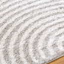 Fossay Shag FSG-2335 Light Beige / Medium Gray Rug