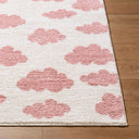 Fossay Shag FSG-2349 Ivory / Rose Rug
