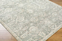 Collins Avenue GACA-2300 Beige / Dark Brown Rug
