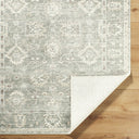 Collins Avenue GACA-2300 Beige / Dark Brown Rug