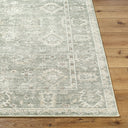 Collins Avenue GACA-2300 Beige / Dark Brown Rug