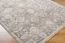 Collins Avenue GACA-2301 Brown / Dusty Sage Rug