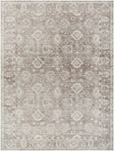 Collins Avenue GACA-2301 Brown / Dusty Sage Rug