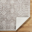 Collins Avenue GACA-2301 Brown / Dusty Sage Rug