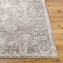 Collins Avenue GACA-2301 Brown / Dusty Sage Rug