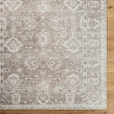 Collins Avenue GACA-2301 Brown / Dusty Sage Rug