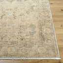 Fetscher GAHU-2301 Light Beige / Light Brown Rug