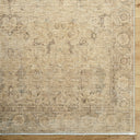 Fetscher GAHU-2301 Light Beige / Light Brown Rug