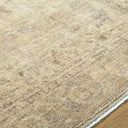 Fetscher GAHU-2301 Light Beige / Light Brown Rug