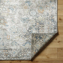 Ghordes GHR-2300 Beige / Dark Brown Rug