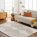 Gavic GVC-2317 Ivory / Light Beige Rug