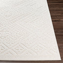 Greenwich GWC-2304 Beige Rug