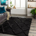 Hudson Shag HDS-2300 Black Rug