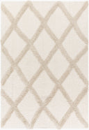 Hudson Shag HDS-2306 Ivory / Tan Rug