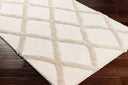 Hudson Shag HDS-2306 Ivory / Tan Rug