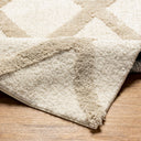 Hudson Shag HDS-2306 Ivory / Tan Rug
