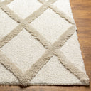 Hudson Shag HDS-2306 Ivory / Tan Rug