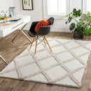 Hudson Shag HDS-2306 Ivory / Tan Rug