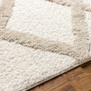 Hudson Shag HDS-2306 Ivory / Tan Rug