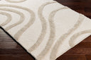 Hudson Shag HDS-2310 Ivory / Tan Rug