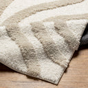 Hudson Shag HDS-2310 Ivory / Tan Rug