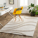 Hudson Shag HDS-2310 Ivory / Tan Rug
