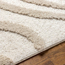 Hudson Shag HDS-2310 Ivory / Tan Rug