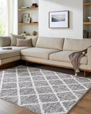 Honour HON-2303 Black / Light Gray Rug