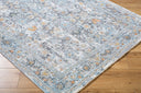 Hassler HSL-2300 Charcoal / Dusty Sage Rug