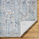 Hassler HSL-2300 Charcoal / Dusty Sage Rug