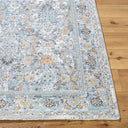 Hassler HSL-2300 Charcoal / Dusty Sage Rug