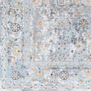 Hassler HSL-2300 Charcoal / Dusty Sage Rug
