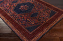 Haven HVN-1216 Burgundy / Magenta Rug